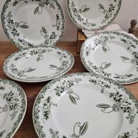 1 assiettes plates st amand 2